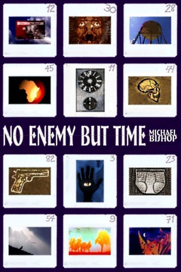 No Enemy but Time